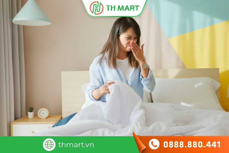 Top 5 cách khử mùi ẩm mốc trong phòng kín đơn giản, hiệu quả 2 Mùi ẩm mốc thường xuất hiện trong phòng kín, không khí lưu thông kém